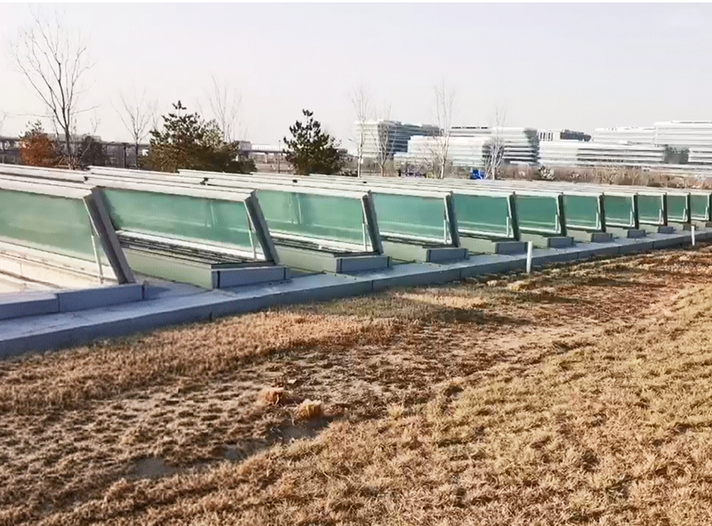大兴-2.png
